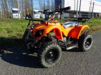 Elektro Quad Miniquad Kinder Atv Cobra 800 Watt Pocketquad Kinder Nordrhein-Westfalen - Greven Vorschau