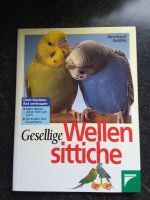 „ Gesellige Wellensittiche „ Niedersachsen - Wennigsen Vorschau