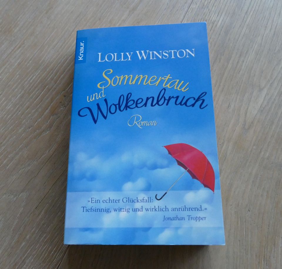Buch Roman Sommertau und Wolkenbruch Lolly Winston in Gießen