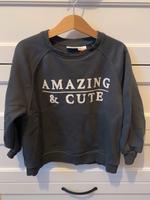 Zara Mädchen Sweatshirt grau Gr.110♥️ Berlin - Steglitz Vorschau