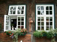 Holzfenster Denkmalfenster Denkmalschutzfenster heimische Eiche Niedersachsen - Hilter am Teutoburger Wald Vorschau