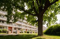 Sonnige 3-Zimmer-Wohnungen im Blumenviertel ab sofort Sachsen-Anhalt - Halle Vorschau