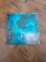 Jimi Hendrix Vinyl Schallplatte Valleys of Neptune  Doppel LP Bayern - Maxhütte-Haidhof Vorschau