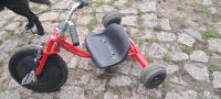 Kindertrike Sachsen-Anhalt - Wust Vorschau