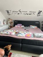 Boxspringbett Nordrhein-Westfalen - Arnsberg Vorschau