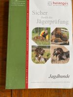 Heintges, sicher durch die Jägerprüfung Jagdhunde Schleswig-Holstein - Eckernförde Vorschau