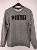 Puma Sweatshirt Hoodie Logo Print Gr S Bayern - Helmbrechts Vorschau