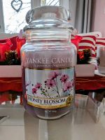 Yankee Candle ♡ Honey Blossom ♡ Duftkerze ♡ Large Jar 623g ♡ NEU Essen-Borbeck - Essen-Vogelheim Vorschau