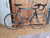 Pinarello Rennrad Campagnolo Ausstattung Columbus Extra EL RH 62 Kr. München - Sauerlach Vorschau