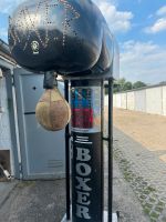 Boxautomat Boxbirne Boxer Sachsen-Anhalt - Halle Vorschau