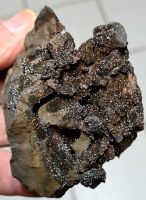 Siderit Septarie Arpke Niedersachsen Mineralien Kristalle Gestein Hessen - Ebersburg Vorschau