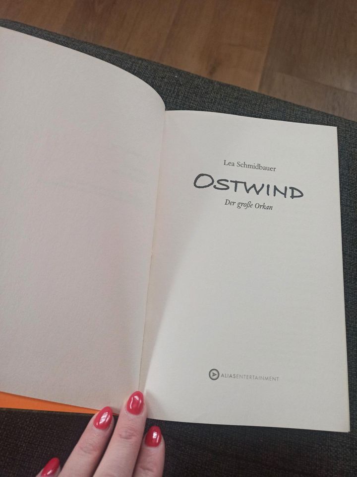 Buch Ostwind der große Orkan in Lahr (Schwarzwald)