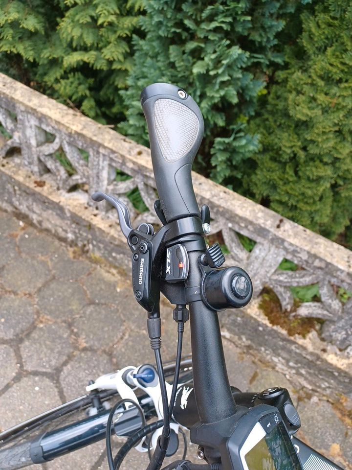 Pegasus E=Bike in Wilmeröderberg