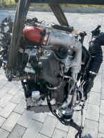 Motor VW T6 2.0 BiTDI CXE CXEB 204PS KOMPLETT Rheinland-Pfalz - Waldalgesheim Vorschau