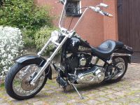 Harley-Davidson Evo Softail Bj.98 Sachsen - Bannewitz Vorschau