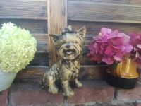 ❣ Steinfigur süßer Yorkshire Terrier Yorkie Hund Deko ❣ Schleswig-Holstein - Dannewerk Vorschau