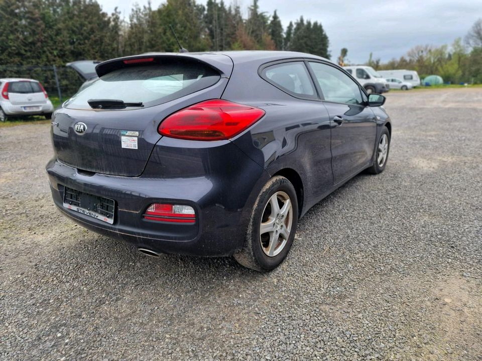 Kia Proceed  2017  Bj in Aachen