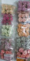 180 Deko Blüten Hortensien verschiedene Farben original verpackt Nordrhein-Westfalen - Erkelenz Vorschau