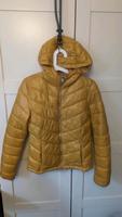 Leichte Wattierte Winterjacke von C&C Senf Gr 40 Brandenburg - Potsdam Vorschau