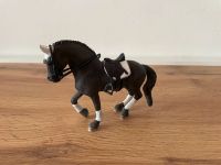 Schleich Horse Club Friese Hengst Reitturnier 42457 Baden-Württemberg - Giengen an der Brenz Vorschau