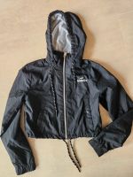 Hollister Windjacke Gr.XXS Bayern - Burglengenfeld Vorschau