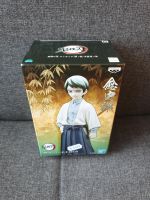 Demon Slayer Yushiro Figur Anime Manga neu Rheinland-Pfalz - Ingelheim am Rhein Vorschau