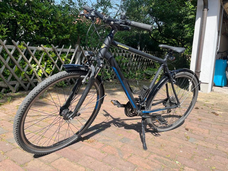 Winora Herrenfahrrad (Gravel Bike) in Achim