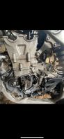 Biete Reparatur Simson Quad Buggy Motorrad Motocross Sachsen-Anhalt - Aschersleben Vorschau