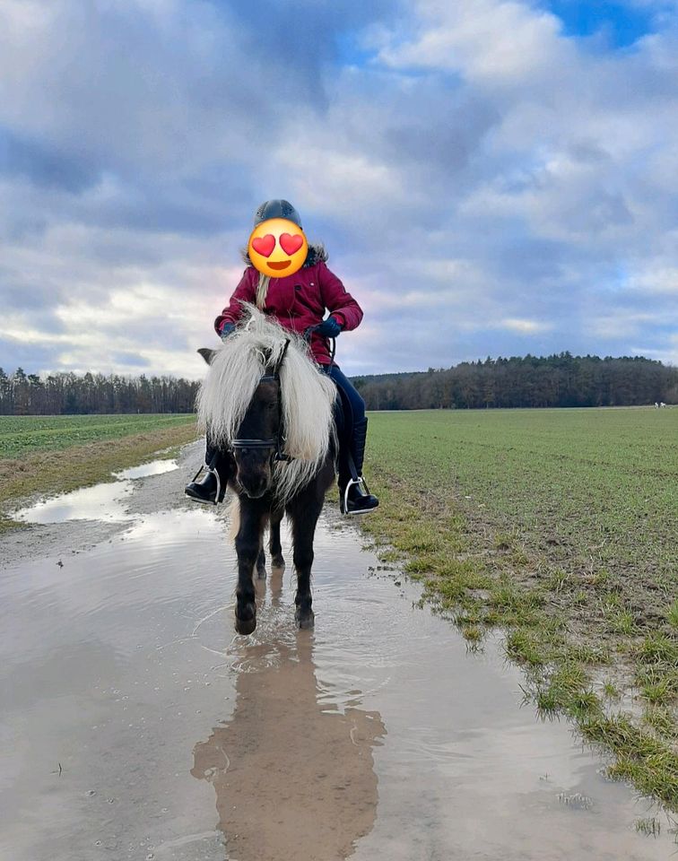 Reit- & Pflegebeteiligung an Pony in Bastheim