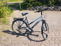 Fahrrad 28er Giant Alurahmen 24 Gang Shimano Schleswig-Holstein - Handewitt Vorschau