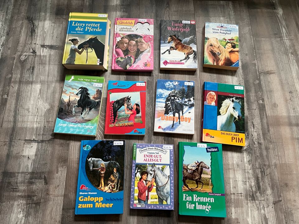 Viele verschiedene pferdebücher Kinderbücher DVDs und mehr in Banteln