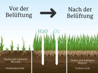 Vertikutieren Rasen lüften Niedersachsen - Ritterhude Vorschau