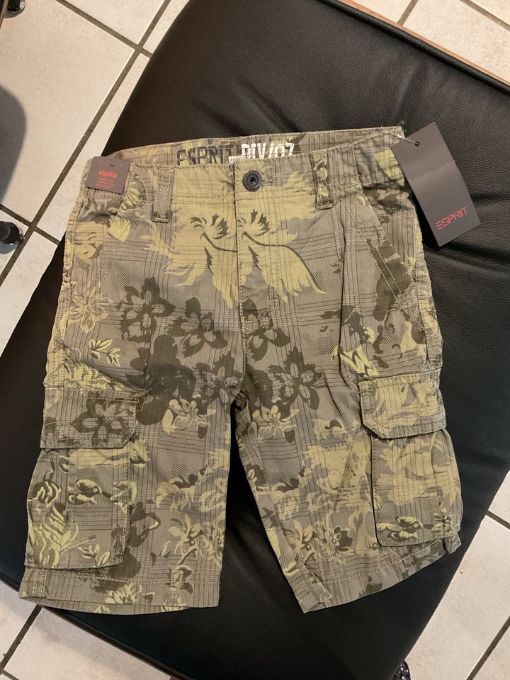 Esprit Shorts Hose Bermuda Cargohose NEU in Bernhardswald