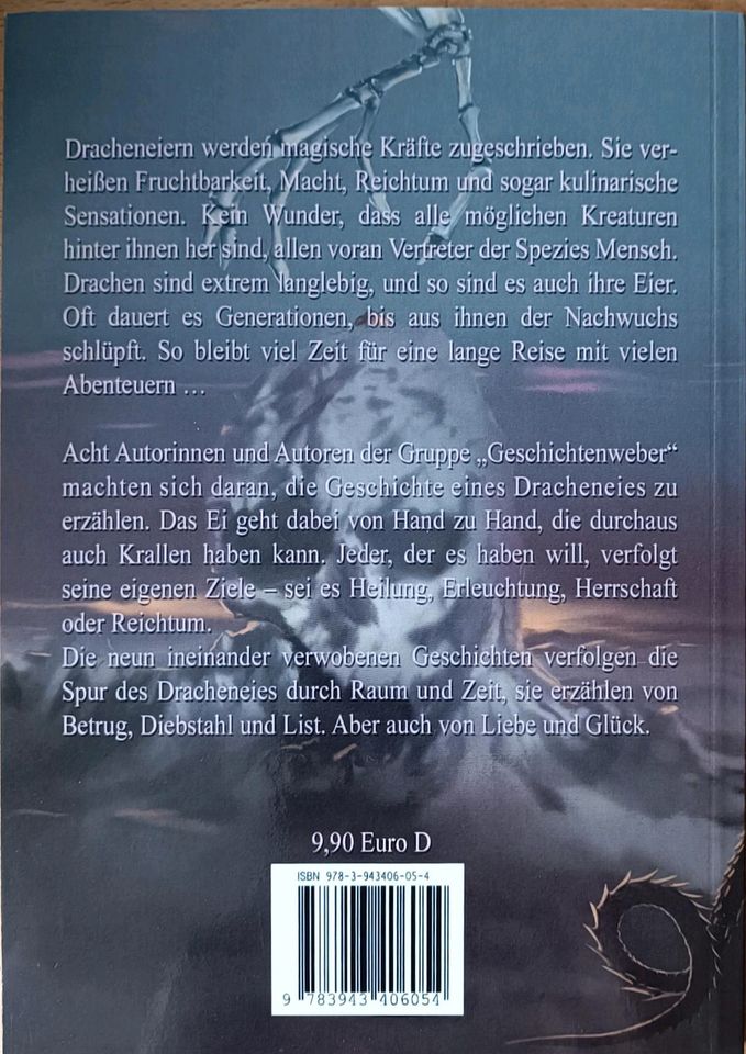 Drachen Diebe und Dämonen Buch Jugend Fantasy in Potsdam