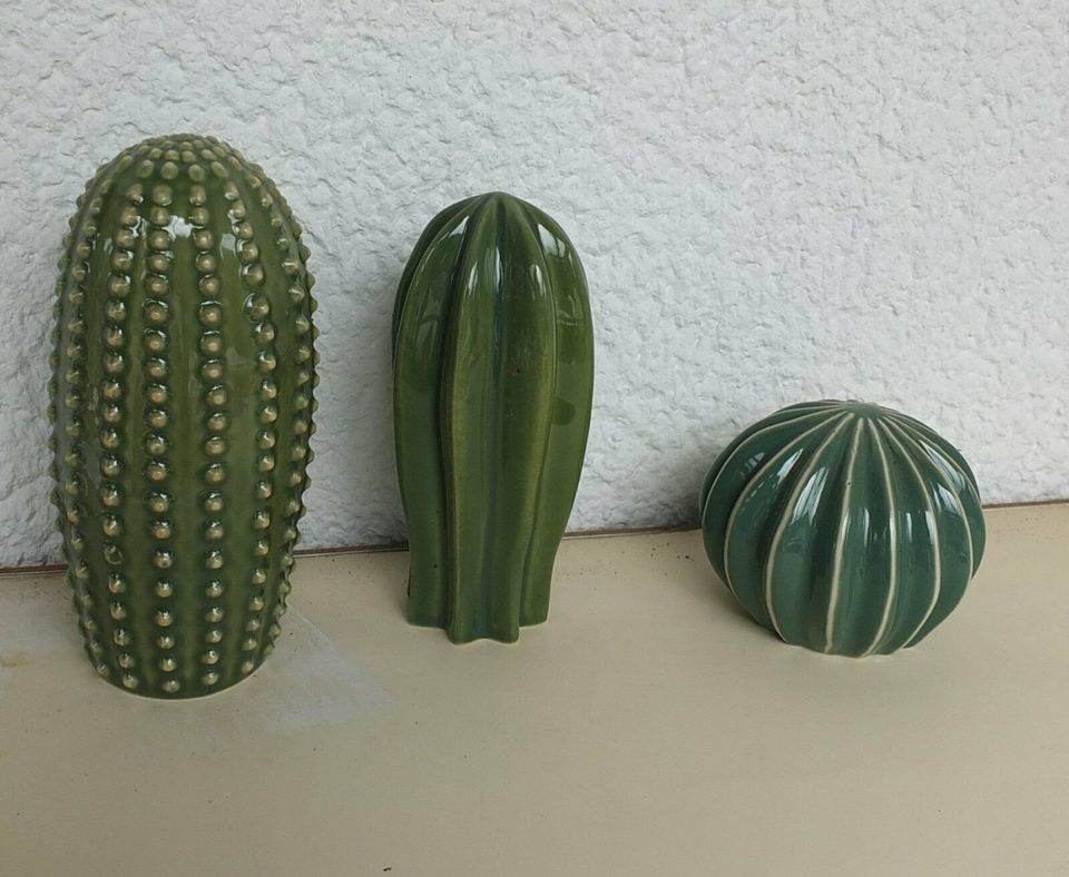 Ikea SJÄLSLIGT Kaktus Kakteen Dekoration 3er- Set grün in Hessen -  Stadtallendorf | eBay Kleinanzeigen ist jetzt Kleinanzeigen