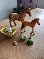 Schleich Horse Club Sarahs Tierpflege Babys 42432 Niedersachsen - Braunschweig Vorschau