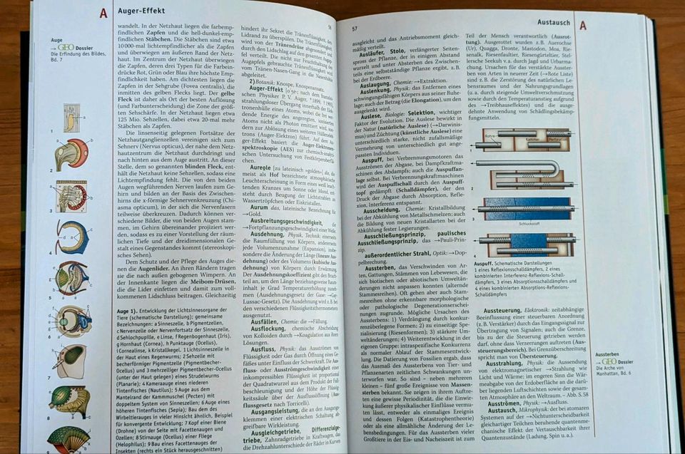 GEO Themenlexikon Gesamtausgabe - 21 Bücher in Hamburg