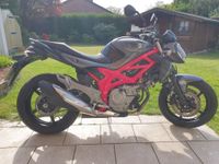 Suzuki Gladius SFV650 A Rot/Schwarz keine HU Nordrhein-Westfalen - Voerde (Niederrhein) Vorschau