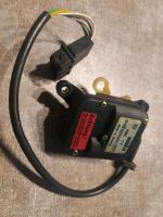 Bosch Stellmotor Einspritzpumpe 0132801003 original Teil Rheinland-Pfalz - Speyer Vorschau