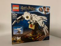 LEGO® Harry Potter™ 75979 Hedwig™ NEU OVP Niedersachsen - Wildeshausen Vorschau