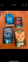 Bücher Warrior Cats 4 neue Taschenbücher Nordrhein-Westfalen - Hattingen Vorschau