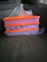 Tupperware 3 Gefrier Behälter je 600 ml Orange polar Stern Paket Friedrichshain-Kreuzberg - Kreuzberg Vorschau