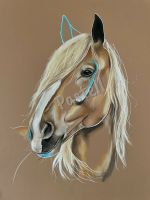 „Vlaams Paard“ Kaltblut Pastell Bild Pferd Fahrpferd Belgien Nordrhein-Westfalen - Kevelaer Vorschau