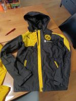 Neuwertige , Stadionjacke, BVB von Puma, 164, Nordrhein-Westfalen - Korschenbroich Vorschau