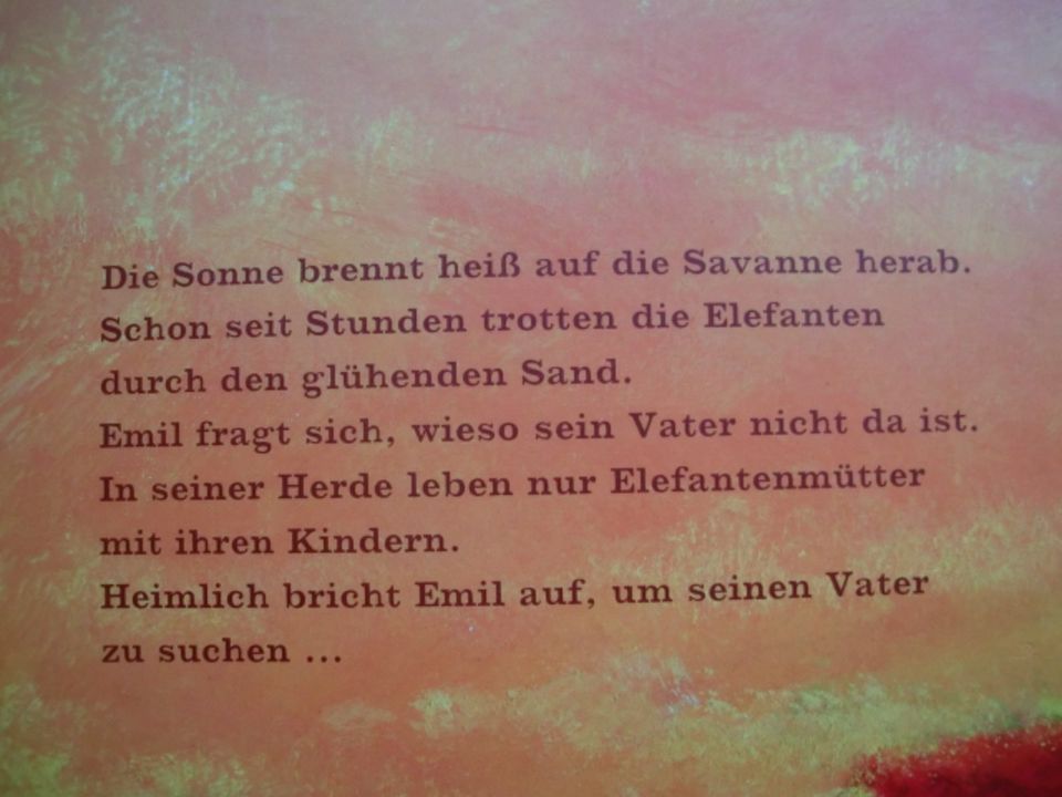 Emil Elefantenkind Buch von Dorothee Haentjes, Beate Mizdalski in Düsseldorf