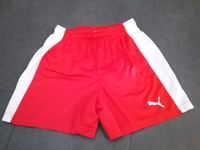 Sport Hose Trainingshose kurz Puma 152 Baden-Württemberg - Aldingen Vorschau