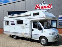 Fiat Ducato Alkoven Hymer Maxi C 644, 6 Schlafplätze Niedersachsen - Bomlitz Vorschau