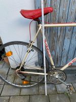 Rennrad Fahrrad Hinault Hessen - Alsbach-Hähnlein Vorschau