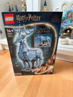 Lego Harry Potter 76414 Neu Essen - Essen-Ruhrhalbinsel Vorschau