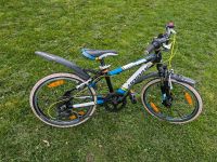 Haibike Rookie 20 Zoll Kinderfahrrad MTB Mountainbike unisex Sachsen - Waldenburg Vorschau